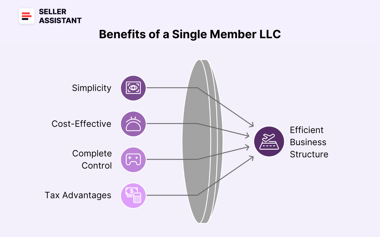 Why Choose a Single Member LLC?